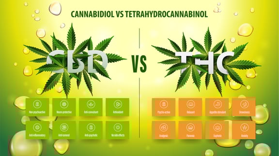 best weed strains for pain